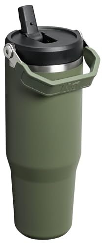 STANLEY IceFlow 2.0 Flip Straw Tumbler with Handle 30 oz | Twist On Lid and Flip Up Straw | Leakproof Water Bottle | Insulated Stainless Steel | BPA-Free | Dried Pine