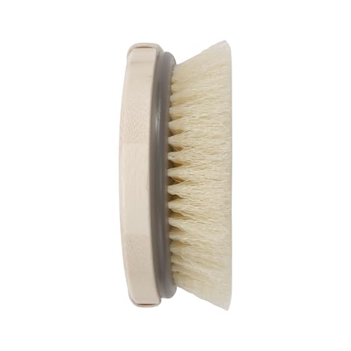 EcoTools Dry Body Brush, for Post Shower & Bath Skincare Routine, Removes Dirt and Promotes Blood Circulation, 1 Count