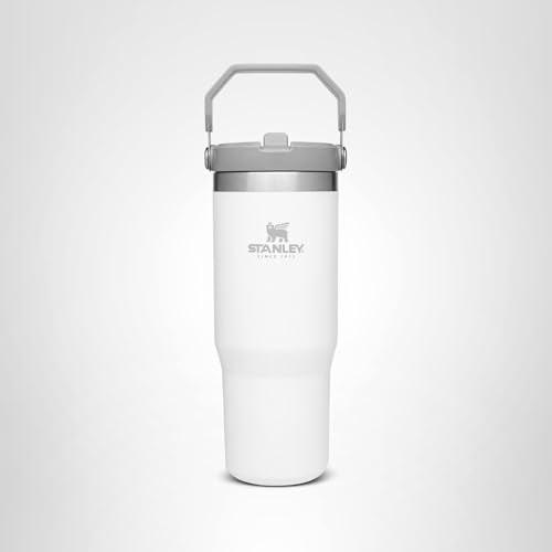 Stanley IceFlow Flip Straw Tumbler with Handle 30 oz | Twist On Lid and Flip Up Straw | Leak Resistant Water Bottle | Insulated Stainless Steel |BPA-Free | Polar