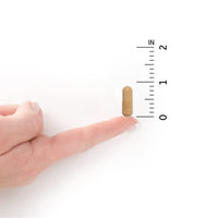 Thumbnail for Garden of Life Raw Probiotics Vaginal Care - 50 Billion CFU - 38 Probiotic Strains - Supports Vaginal & Urinary Tract Health - Shelf Stable - 30 Vegetarian Capsules