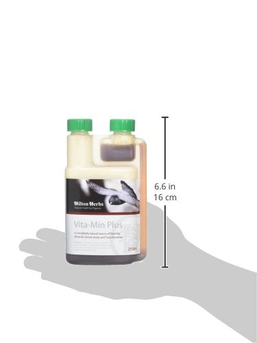 Hilton Herbs 27082 Vita-Min Plus Bird Food Formula, 0.5 Pint
