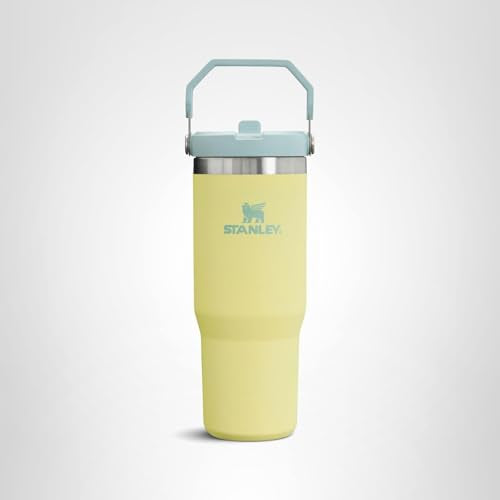 Stanley IceFlow Flip Straw Tumbler with Handle 30 oz | Twist On Lid and Flip Up Straw | Leak Resistant Water Bottle | Insulated Stainless Steel |BPA-Free | Pomelo