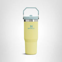 Thumbnail for Stanley IceFlow Flip Straw Tumbler with Handle 30 oz | Twist On Lid and Flip Up Straw | Leak Resistant Water Bottle | Insulated Stainless Steel |BPA-Free | Pomelo