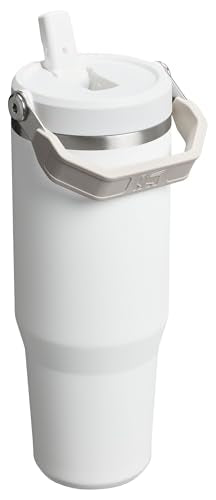 STANLEY IceFlow 2.0 Flip Straw Tumbler with Handle 30 oz | Twist On Lid and Flip Up Straw | Leak Resistant Water Bottle | Insulated Stainless Steel | BPA-Free | Frost