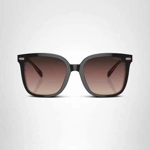 COACH Sunglasses HC 8381 U 5781E2 Cl918 Black/Transparent Blus