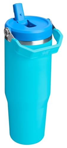 Stanley IceFlow 2.0 Flip Straw Tumbler with Handle 30 oz | Twist On Lid and Flip Up Straw | Leak Resistant Water Bottle | Insulated Stainless Steel | BPA-Free | Splash