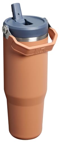 Stanley IceFlow 2.0 Flip Straw Tumbler with Handle 30 oz | Twist On Lid and Flip Up Straw | Leak Resistant Water Bottle | Insulated Stainless Steel | BPA-Free | Toast