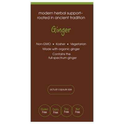plnt Ginger (90 Vegetarian Capsules)