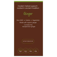 Thumbnail for plnt Ginger (90 Vegetarian Capsules)