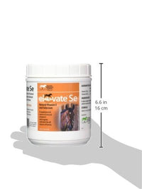 Thumbnail for Kentucky Performance Prod Elevate Se Natural Vitamin E and Selenium Powder for Horses, 2 Pound Container