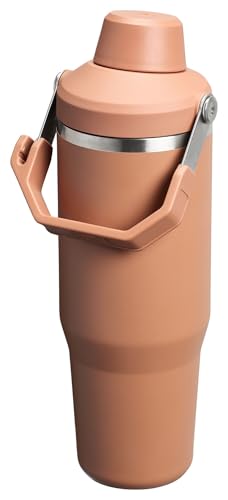 Stanley IceFlow 2.0 Fast Flow Tumbler with Handle 30 oz | Twist On Angled Spout Lid | Leakproof Water Bottle | Insulated Stainless Steel | BPA-Free | Toast