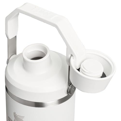 Stanley IceFlow 2.0 Fast Flow Tumbler with Handle 30 oz | Twist On Angled Spout Lid | Leakproof Water Bottle | Insulated Stainless Steel | BPA-Free | Frost