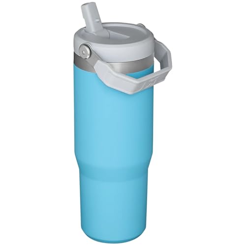Stanley IceFlow Flip Straw Tumbler with Handle 30 oz | Twist On Lid and Flip Up Straw | Leak Resistant Water Bottle | Insulated Stainless Steel |BPA-Free | Pool