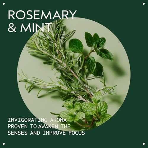 Image 4 of AVEDA Rosemary Mint Purifying Shampoo 10.2 fl oz