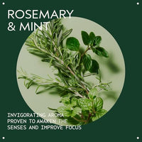 Thumbnail for Image 4 of AVEDA Rosemary Mint Purifying Shampoo 10.2 fl oz