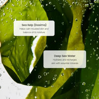 Thumbnail for Image 6 of BIODANCE Refreshing Sea Kelp Serum 1.01 fl.oz