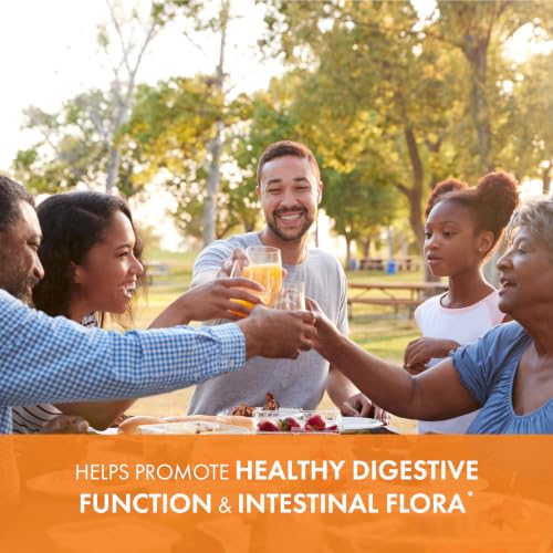 Image 7 of PURE ESSENCE LABS Pure Essence Candex Digestive Enzyme Supplement with Cellulase & Hemicellulase - Supports Gut Health, Carbohydrate Digestion & Microbiome Balance - Non-GMO - 80 Capsules