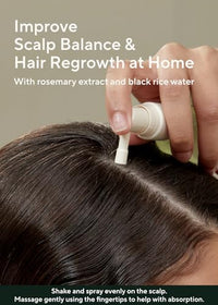 Thumbnail for Image 5 of AROMATICA Root Enhancer Rosemary Water Spray for Hair Growth (2 Packs)