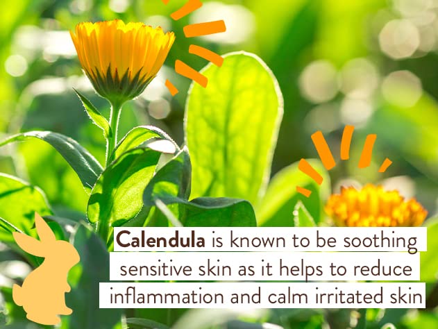 Image 4 of Babo Botanicals Moisturizing Oat & Calendula Miracle Face Cream