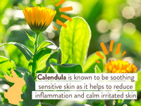 Thumbnail for Image 4 of Babo Botanicals Moisturizing Oat & Calendula Miracle Face Cream