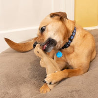 Thumbnail for SPOT Dura-Fused Leather Squirrel Dog Toy – Real Leather & Jute Fabric, Double-Stitched & Durable, Soft Stuffed Squeaky Interactive Chew Toy for Moderate Chewers, Small & Medium Dogs, 8in