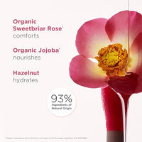 Thumbnail for Clarins Lip Comfort Oil | Hydrating, Nourishing and Moisturizing Lip Oil | Sheer, High Shine Finish | Soothes, Comforts and Protects Lips | Visibly Plumps | 93% Natural Ingredients | 0.2 Ounces
