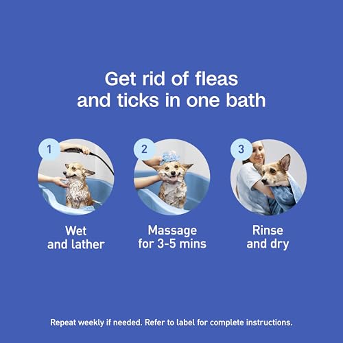 ADAMS Plus Flea & Tick Foaming Shampoo & Wash for Dogs & Puppies, Flea Shampoo to Treat Flea Infestations, Kills Ticks, Fleas, Flea Eggs & Lice, Cleans and Conditions Coat, 10 Ounces