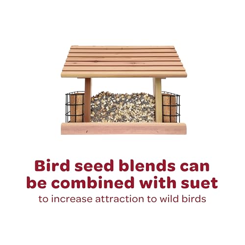 Kaytee All American Wild Bird Food Seed Blend for Cardinals, Blue Jays, Finches & Other Outdoor Wild Birds, 5 Pounds