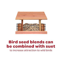 Thumbnail for Kaytee All American Wild Bird Food Seed Blend for Cardinals, Blue Jays, Finches & Other Outdoor Wild Birds, 5 Pounds