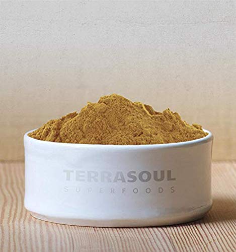 Terrasoul Superfoods Organic Lion's Mane Mushroom Powder (4:1 Extract), 22 Ounces