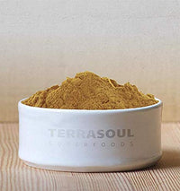 Thumbnail for Terrasoul Superfoods Organic Lion's Mane Mushroom Powder (4:1 Extract), 22 Ounces