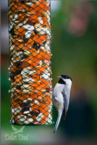 Thumbnail for Better Bird Beautiful Bird Food, 5 Lb