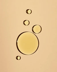 Thumbnail for Undaria Algae Body Oil 1 oz
