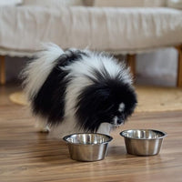 Thumbnail for SPOT Stainless Steel Mirror Finish Bowl, Durable Chew-Proof Food/Water Dish for Mini Dogs, Small Dogs, and Puppies, 2 Cups (16 oz) Capacity