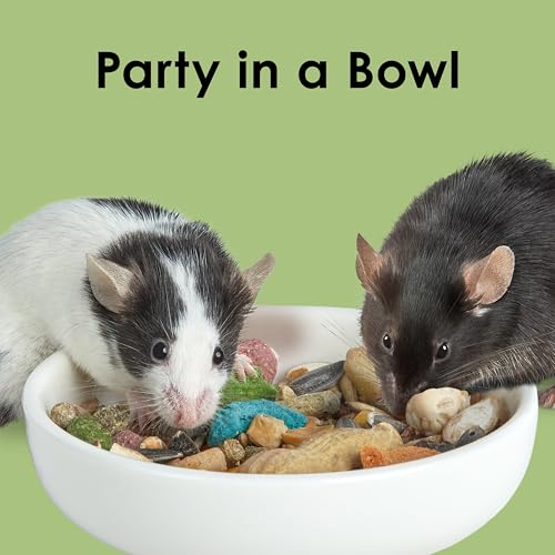 Kaytee Fiesta Mouse & Rat Food, Nutritious and Fun Blend, Supports Dental Health and Digestion, 4.5 pounds