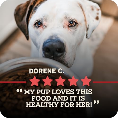 Redbarn Powerfood Air Dried Dog Food for Small Breeds - 91% Chicken & Chicken Organs with Blueberries - High Protein Dry Full Feed or Topper Made in USA for Picky Eaters - 2lb