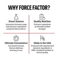 Thumbnail for Force Factor ProbioSlim Akkermansia Prebiotics & Probiotics, with 1B AFUs Akkermansia Muciniphila, Prebiotics & Chromax Chromium, Support Lean Body Mass, Digestion & Gut Health, 60 Vegetable Capsules