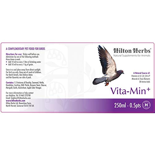 Hilton Herbs 27082 Vita-Min Plus Bird Food Formula, 0.5 Pint