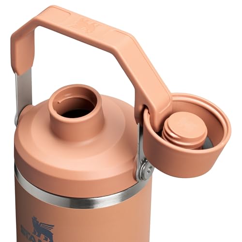 Stanley IceFlow 2.0 Fast Flow Tumbler with Handle 30 oz | Twist On Angled Spout Lid | Leakproof Water Bottle | Insulated Stainless Steel | BPA-Free | Toast