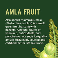 Thumbnail for Image 5 of Banyan Botanicals Organic Amla Tablets - 90 Tablets