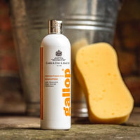 Thumbnail for Carr & Day & Martin Gallop Conditioning Shampoo - 500Ml