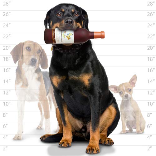 SILLY SQUEAKERS-Wine Bottles - Dog Toy - 100% Vinyl. Made Durable & Strong. Novelty Play Toy. Many Bottles to Choose from and They Floats (Groobert Slobbery, Single)