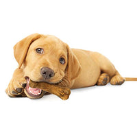 Thumbnail for Nylabone Healthy Edibles Natural Puppy Chews Long Lasting Treats for Puppies, Lamb & Apple Flavor, Small/Regular (3 Count)