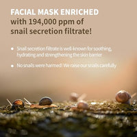 Thumbnail for BENTON Snail Bee High Content Mask Pack (20g / 10 Sheets) - Snail Mucin Face Mask With Bee Venom | Korean Skin Care Face Mask Sheets For Moisturizing, Soothing and Nourishing (2022 Package)