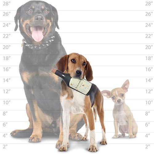 SILLY SQUEAKERS - Liquor Bottles - Dog Toy - 100% Vinyl. Made Durable & Strong. Novelty Play Toy. Many Bottles to Choose from and They Float (Hens R Messy, Single)