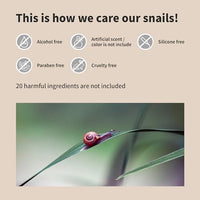 Thumbnail for BENTON Snail Bee High Content Mask Pack (20g / 10 Sheets) - Snail Mucin Face Mask With Bee Venom | Korean Skin Care Face Mask Sheets For Moisturizing, Soothing and Nourishing (2022 Package)