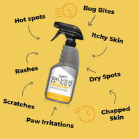 Thumbnail for Absorbine Silver Honey Hot Spot & Wound Care Spray Gel 8oz Bottle, Manuka Honey & MicroSilver BG, Medicated for Dogs, Cats, Small Animals