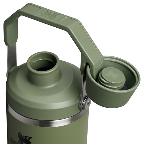 Stanley IceFlow 2.0 Fast Flow Tumbler with Handle 30 oz | Twist On Angled Spout Lid | Leakproof Water Bottle | Insulated Stainless Steel | BPA-Free | Dried Pine