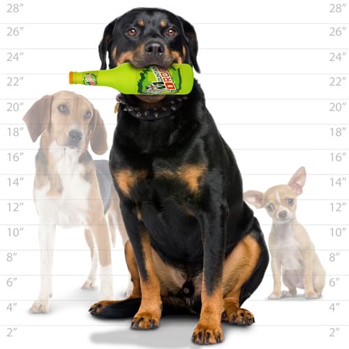 SILLY SQUEAKERS - Beer Bottles - Dog Toy - 100% Vinyl. Made Durable & Strong. Novelty Play Toy. Many Bottles to Choose from and They Float (Mountain Drool, Single)