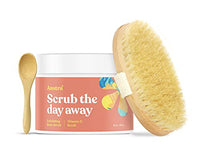Thumbnail for ASUTRA Dead Sea Salt Essential Oil Body Scrub Exfoliator and Dry Brush Bundle (Vitamin C), 16 oz - Ultra Hydrating, Gentle, & Moisturizing - Coconut, Sweet Orange, Grapefruit, and Lemon Oils